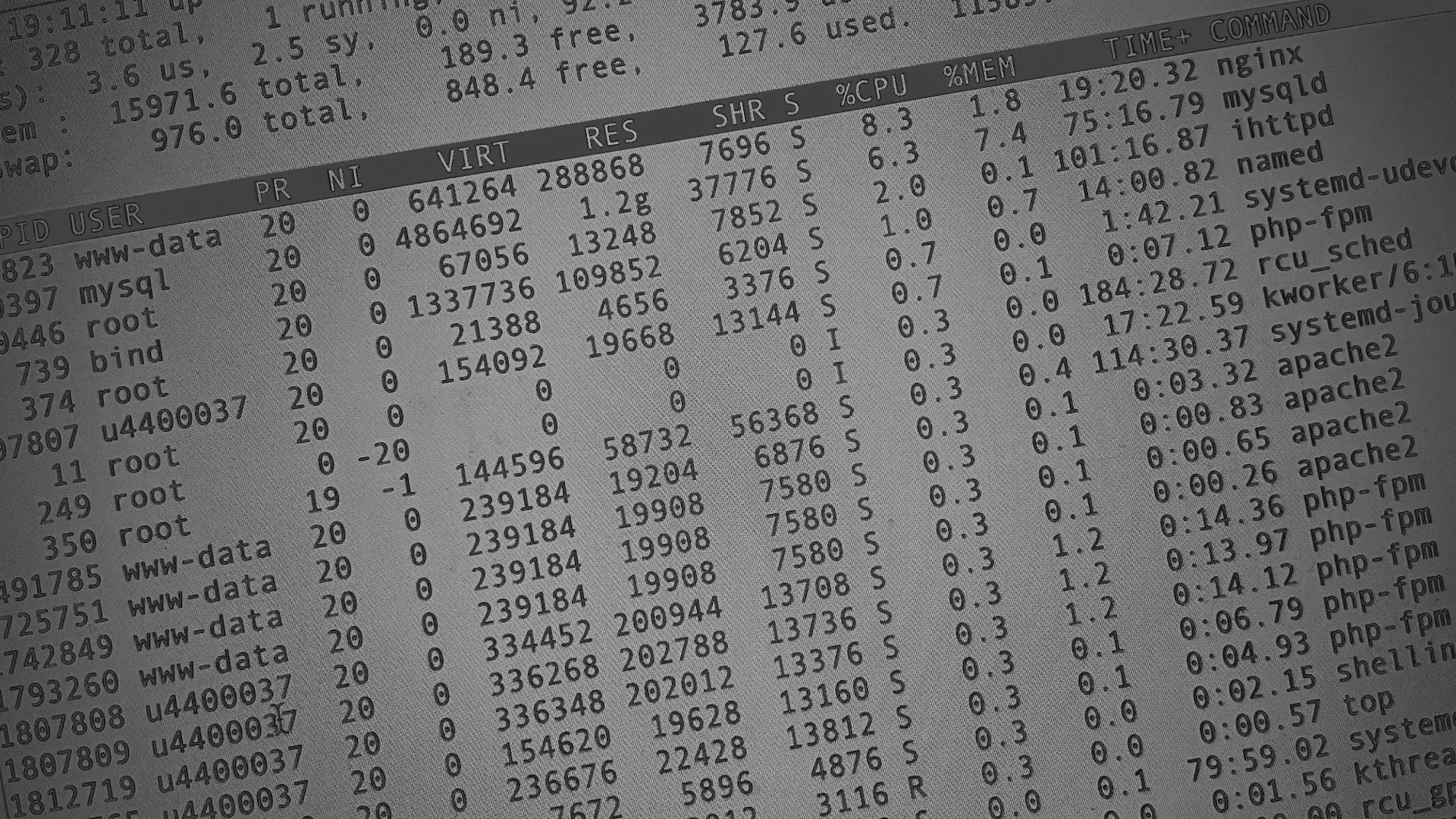 Настройка сервера в Вяземском