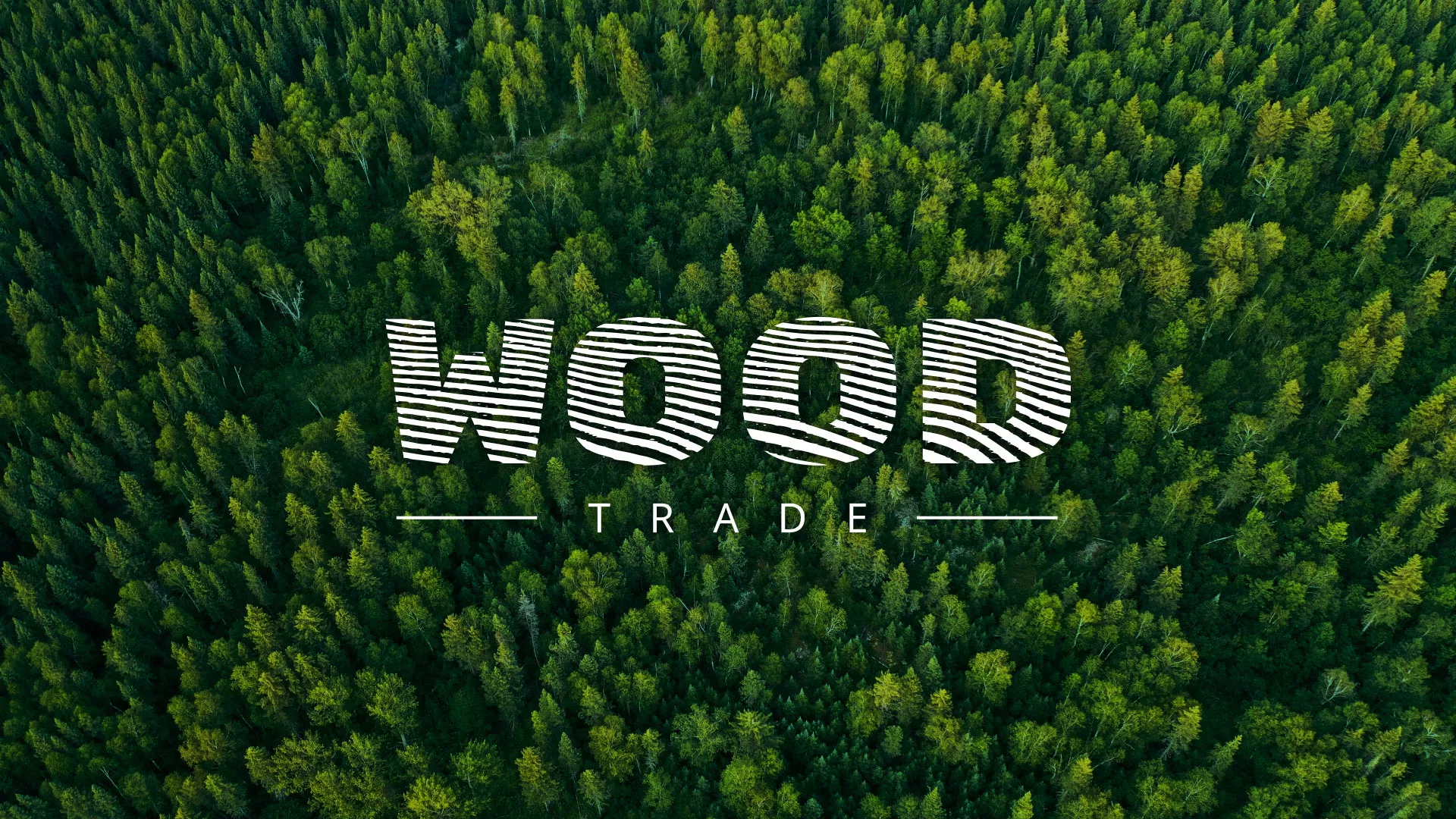 Разработка интернет-магазина компании «Wood Trade» в Вяземском