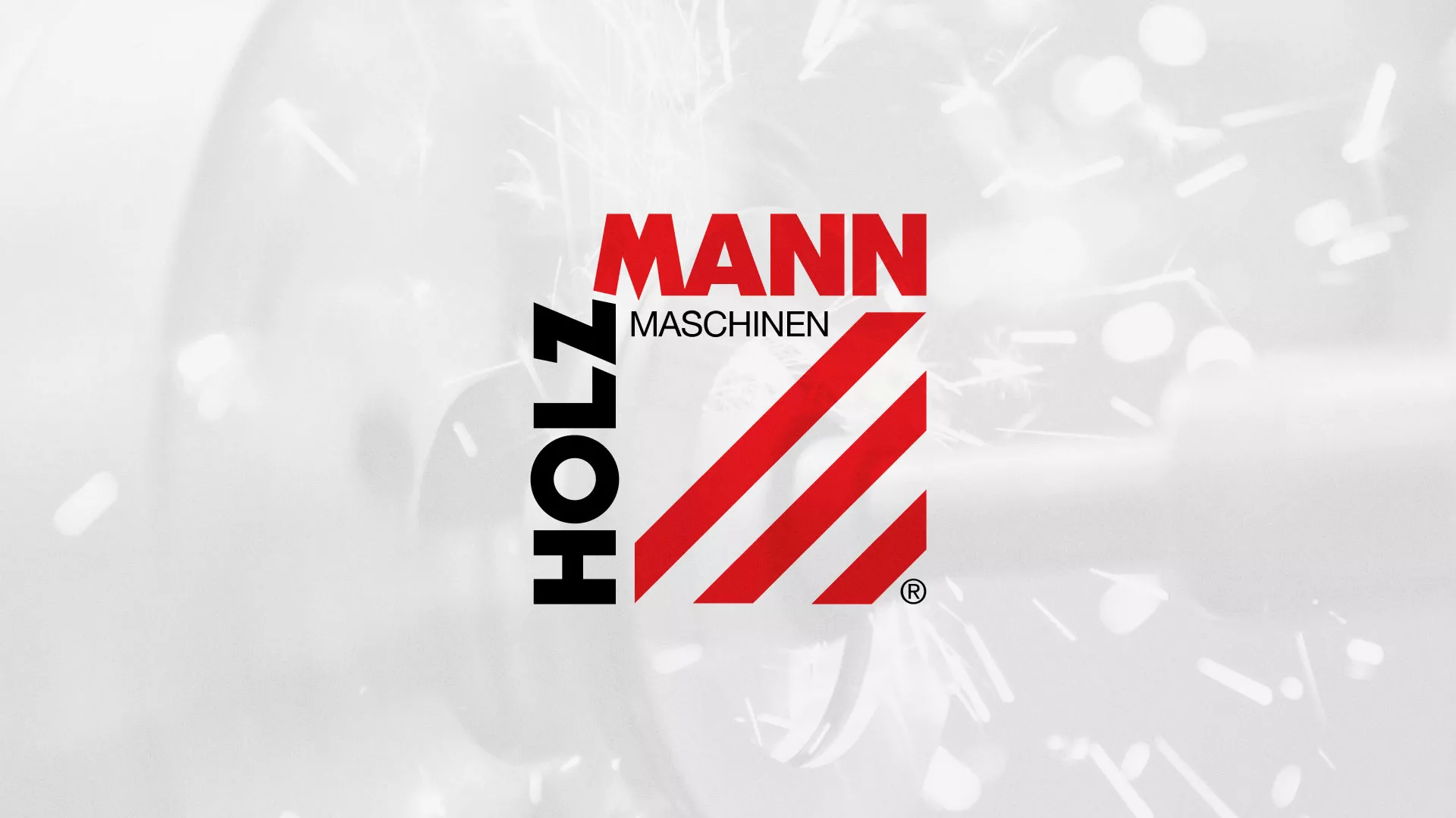 Создание сайта компании «HOLZMANN Maschinen GmbH» в Вяземском