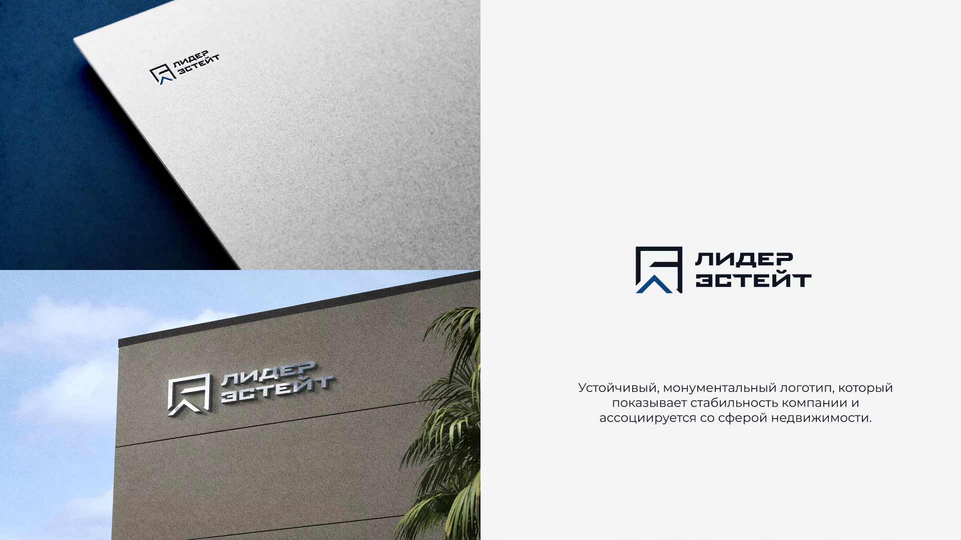 Разработка логотипа агентства недвижимости «Лидер Эстейт» в Вяземском