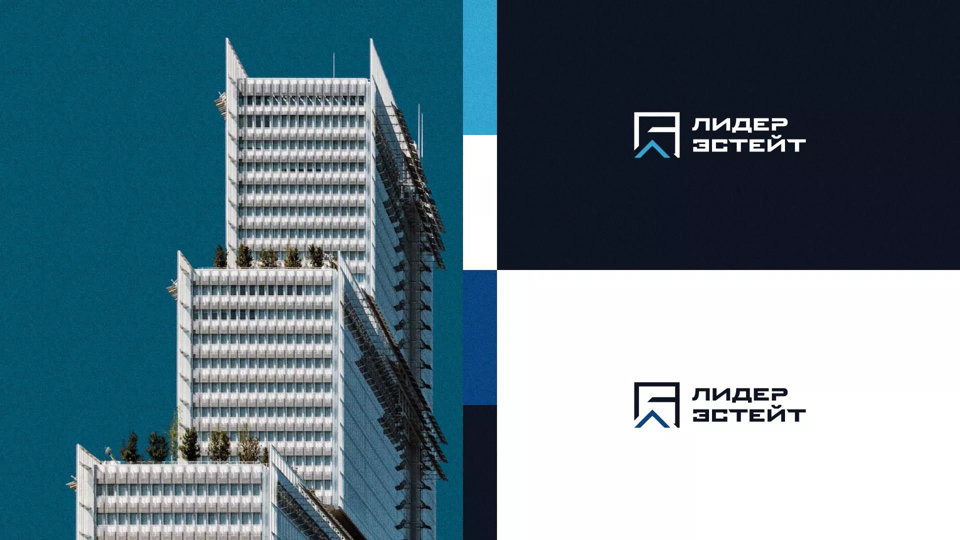 Разработка логотипа агентства недвижимости «Лидер Эстейт» в Вяземском